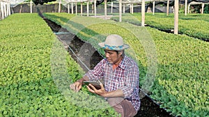 Smart farming argriculture concept.Man hands holding tablet on seedling nursery farm