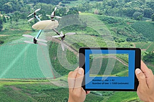 Smart farming concept, drone use a technology in agriculture wit