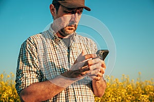 Smart farming concept, farm worker using mobile smartphone app in cultivated canola field photo