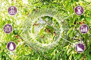 Smart Farming Digital Technology Agriculture