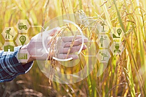 Smart Farming with Internet of Things, IoT concept. Agriculture and modern technology are used to manage crops. Analysis of