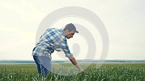 Smart farming. Man agronomist a farmer red neck with digital tablet computer in green wheat field using lifestyle apps