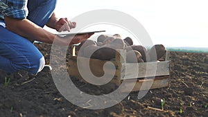 Smart farming. man farmer harvesting potatoes on a digital tablet considered a crop in a field with soil. agricultural