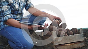 Smart farming. man farmer harvesting potatoes on a digital tablet considered a crop in a field with soil. agricultural