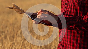 Smart farming using modern technologies in agriculture. Farmer hands touch digital tablet computer display with fingers