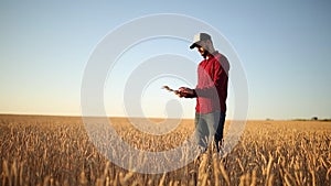 Smart farming using modern technologies in agriculture. Farmer hands touch digital tablet computer display with fingers