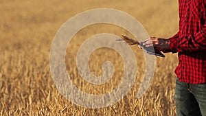 Smart farming using modern technologies in agriculture. Farmer hands touch digital tablet computer display with fingers