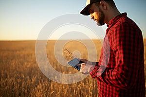 Smart farming using modern technologies in agriculture. Man agronomist farmer with digital tablet computer in wheat