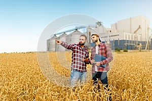 Smart farming using modern technologies in agriculture. Man agronomist farmer with digital tablet computer in wheat