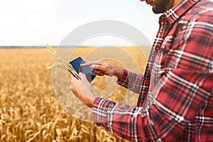 Smart farming using modern technologies in agriculture. Man agronomist farmer with digital tablet computer in wheat