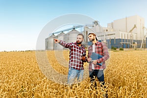 Chytrý poľnohospodárstvo technológia v poľnohospodárstvo. muž agronóm poľnohospodár digitálne počítač v pšenica 