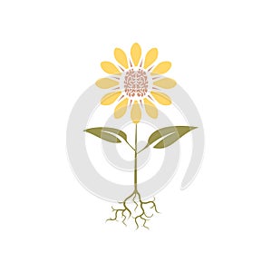 A smart flower as a logo