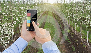 Smart garden. Agronomist with mobile device using app and internet of things in production and agricultural research