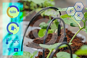 Smart garden using computer control the drip Irrigation system in farm