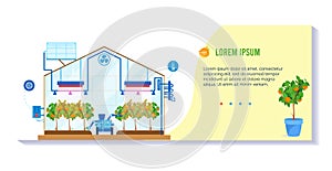 Smart greenhouse interior with automated irrigation system, plants in beds, sensors, water tank, vector illustration
