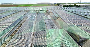 Smart greenhouses. Visualization of modern greenhouses. The concept of modern industrial greenhouses.