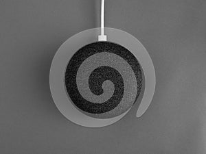 Smart home device speaker monochrome black and white