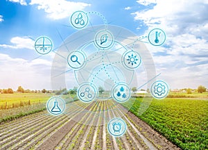 Smart innovative high technologies and innovations in agro-industry. Agricultural startup. Automation and crop quality improvement