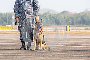 Smart police dog sitting outdoors