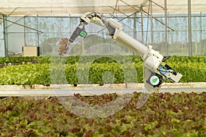 Smart robotic in agriculture futuristic concept, robot farmers automation must be programmed to work to spray chemical,fertilize