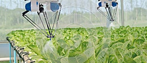 Smart robotic in agriculture futuristic concept, robot farmers automation must be programmed to work to spray chemical,fertilize