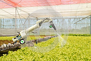 Smart robotic in agriculture futuristic concept, robot farmers automation must be programmed to work to spray chemical,fertilizer