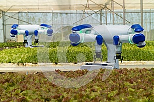 Smart robotic in agriculture futuristic concept, robot farmers automation must be programmed to work in the vertical or indoor f photo