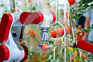 Smart robotic farmers in agriculture futuristic robot automation to work to spray chemical fertilizer
