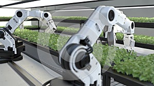 Smart robotic farmers concept, robot farmers