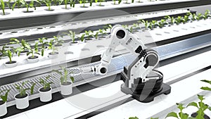 Smart robotic farmers concept, robot farmers