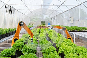 Smart robotic farmers harvest in agriculture futuristic robot automation to work technology