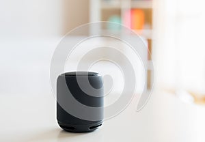 Smart speaker and virtual voice assistant at home