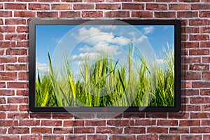 Smart TV With Green Wheat Field And Cloudy Sky Wallpaper - Brick Wall In Background