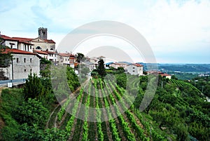 Smartno, Brda, Slovenia wine region