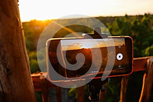 Smartphone filming a forest under the sunlight during the sunset in the evening photo