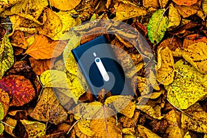 Smartphone in-between leaves