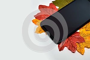 Smartphone lying on autumn leaves. Seasonal background with space for text. Multicolored bright leaves. Autumn banner for advertis