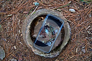 Smartphone on and with Photo of Hollow Tree Trunk