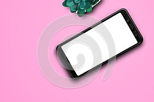 Smartphone and plant on an pink background. flat lay, Top view, with space for text