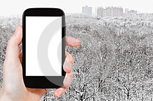 Smartphone and snowy forest near city