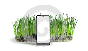 Smartphone with white screen stands on stand in front of green grass on isolated light background