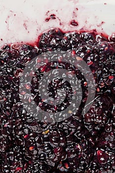 Smashed blackberry fruits