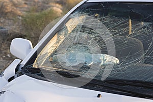 Smashed Car Windshield