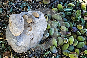 Smashing almond with stone, pouring almonds, eating almonds is good for health, natural almonds, dry almond seeds