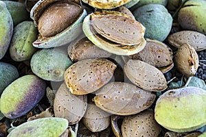 Smashing almond with stone, pouring almonds, eating almonds is good for health, natural almonds, dry almond seeds