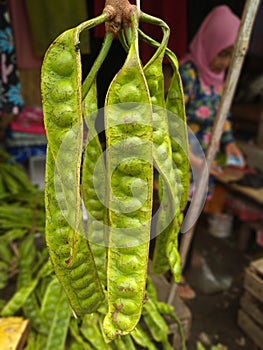 Smellgood big pete green