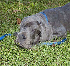 Smelling the grass