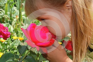 Smelling a rose