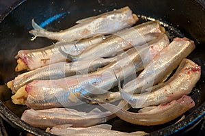 Smelt Fish