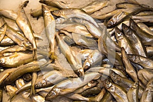 Smelt fish chilled on a background of white ice. Seafood, fish